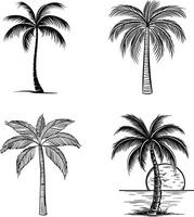 Black and White Silhouette Collection of Palm Trees and Coconuts vector