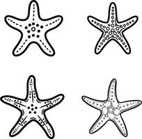 Summer Design Elements, Trendy Flat Style Starfish for Graphic Design and Web Sites vector