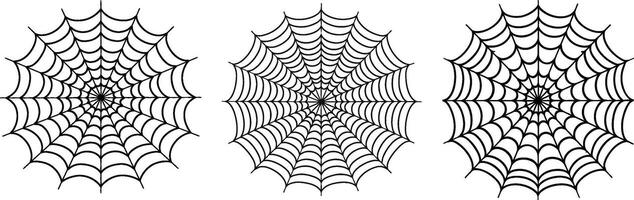 spider web symbol icon design. Beautiful illustration isolated on white background vector