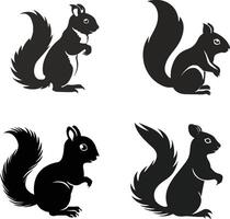 Comprehensive Set of Squirrel Animal Silhouettes in Black vector