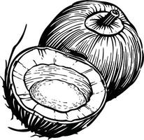 Black and White Graphic of an Open Coconut and a Round Coconut vector