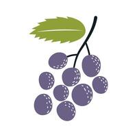 Grape in the style of nursery art. Hand drawn abstract fruit in boho style. vector
