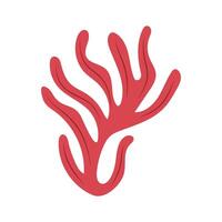 Algae. Underwater life. Coral. Abstract Seaweed Shape. Aesthetic Element. vector