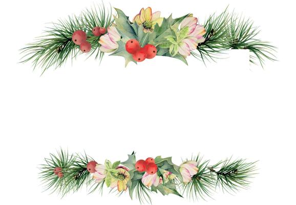 Hellebore flower, holly leaves berries, pine fir tree branches. Watercolor hand drawn illustration, copy space frame isolated on white. Xmas, happy new year festive, noel navidad holiday. Cards gifts.