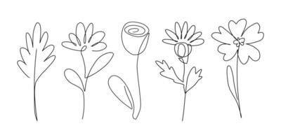 Minimalistic line drawing of various flowers and leaves in black on a white background. vector