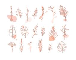 Set of different forms leaves in minimalism flat style on white background vector