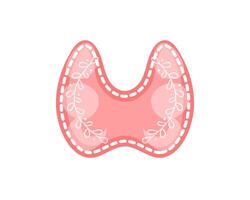 Thyroid gland isolated on white background. Healthy internal organ of human endocrine system with leaves branches vector