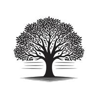 Tree Silhouette in Black Format with Editable Transparent Background vector