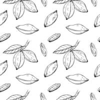 Pecan nuts Seamless Pattern. Repeating background with pecan plant, fruit, shelled nuts for paper, wrapping, print, card. Hand drawn ink sketch. Food, organic ingredient, nutrition, harvest vector