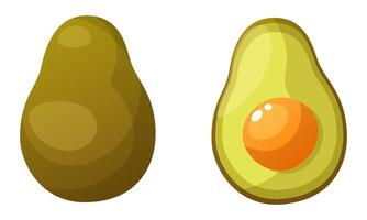 Fruit vegetable fresh avocado whole and half. Avocado cut in half with pit. Organic vegetarian food. Summer tropical fruits for a healthy lifestyle. vector