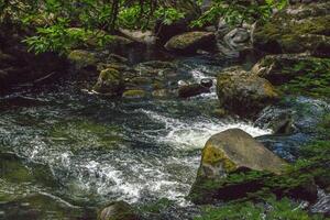 Pebbles and Stones in Water Stream in Summer photo