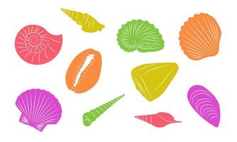 Set of Colored Seashell Shapes vector