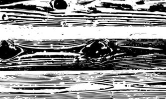 Grunge detailed black abstract texture. Stripes, veins. background vector