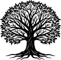 Silhouette of a banyan Tree isolated on white background vector