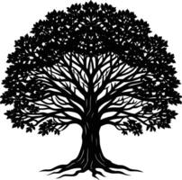 Silhouette of a banyan Tree isolated on white background vector