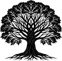 Silhouette of a banyan Tree isolated on white background vector