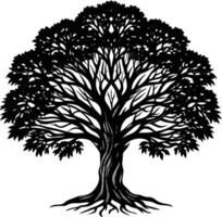 Silhouette of a banyan Tree isolated on white background vector