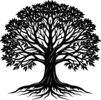 Silhouette of a banyan Tree isolated on white background vector