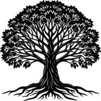Silhouette of a banyan Tree isolated on white background vector