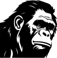 Chimpanzee, Black and White illustration vector