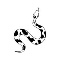 Celestial element. Magic snake with moon, star, crescents. Cute boho snake in black color isolated vector
