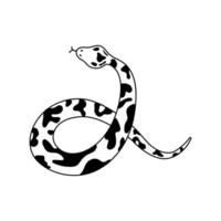 isolated element, snake. Hand drawn doodle. vector