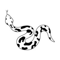 isolated element, snake. Hand drawn doodle. vector
