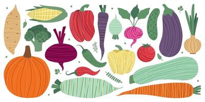 Vegetables large set. Stylized, abstract vegetables and greens. Isolated autumn illustration for your design vector