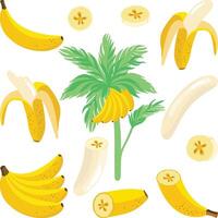 Set digital collage of banana vector