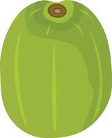 Fresh ripe kiwi without peel vector