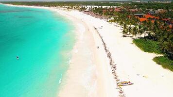 Aerial view of bright sunny day illuminates the tropical beach of a luxurious resort with white sands. Palm trees sway gently by the Caribbean Sea and refreshing pool in Punta Cana, Dominican Republic video