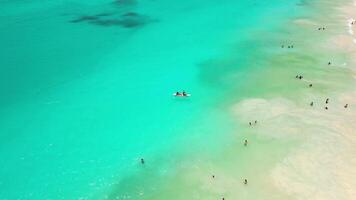 Aerial view of bright sunny day illuminates the tropical beach of a luxurious resort with white sands. Palm trees sway gently by the Caribbean Sea and refreshing pool in Punta Cana, Dominican Republic video