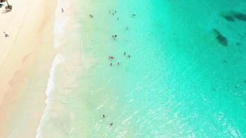 Aerial view of bright sunny day illuminates the tropical beach of a luxurious resort with white sands. Palm trees sway gently by the Caribbean Sea and refreshing pool in Punta Cana, Dominican Republic video
