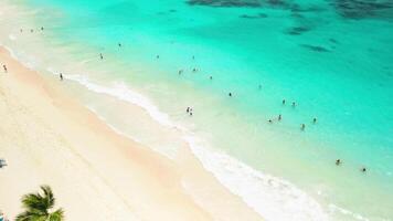 Antenne Aussicht von hell sonnig Tag leuchtet das tropisch Strand von ein luxuriös Resort mit Weiß Sand. Palme Bäume schwanken sanft durch das Karibik Meer und erfrischend Schwimmbad im punta Kana, dominikanisch Republik video