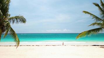 A vibrant tropical beach with white sand and turquoise ocean waves. Palm trees frame the view. There's ample space for text, making it perfect for advertising or promotional material. video