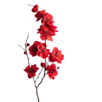 A single branch of vibrant red flowers center isolated on a transparent background png