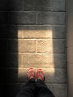 Tiles with natural rock textures under the sun light through the window photo