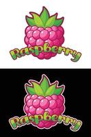 Raspberry Fruit Illustration with Name. vector