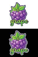 Colourful Fruits Illustration with Names. vector