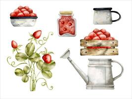Hand-drawn, watercolor set with bright strawberry bush, wooden rustic box with strawberries, plate with strawberries, watering can and jar of jam. Cartoon berries illustration, in kids style vector