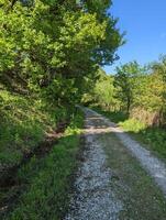 Natures Splendor a Serene Path Ahead. photo
