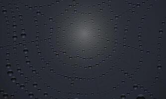 Spider web on dark background. net texture with rain water drops. vector