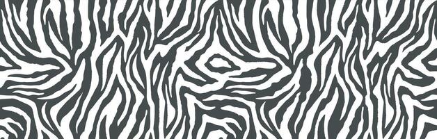 Zebra skin, stripes pattern. Animal print, black and white detailed and realistic texture. Monochrome seamless background vector