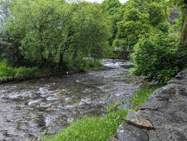Serene Riverside Scene with Lush Greenery in a Peaceful Countryside Setting photo