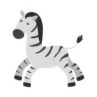 Cute zebra isolated on a white background. vector