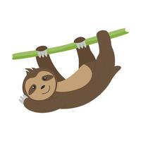 A cute sloth is hanging on a branch isolated on a white background. vector