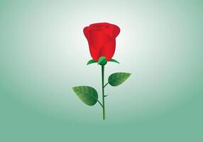 A red rose with leaf vector