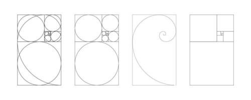 Golden ratio template. Method golden section set. Fibonacci array, numbers. Harmony proportions pattern. Outline graphic illustration. vector