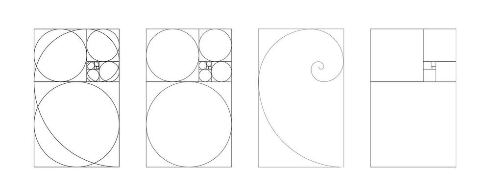 Fibonacci Pattern Vector Art Icons And Graphics For Free Download Fibonacci Pattern Vector Art Icons And Graphics For Free Download