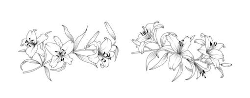 Lily flower arrangement line art on white background. Silhouette lilies botanical hand drawn element for wedding, invitation frame design illustration vector